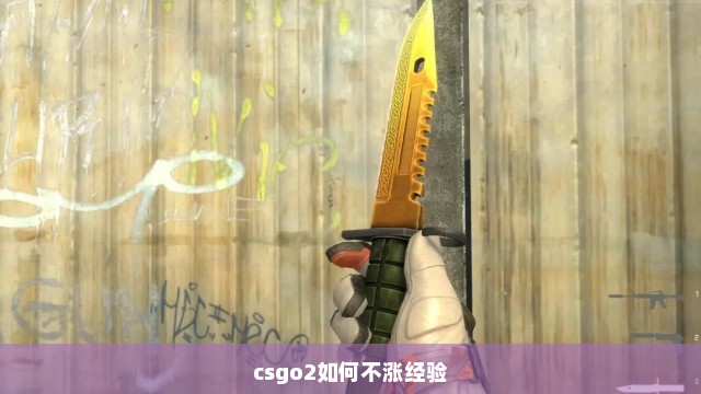 csgo2如何不涨经验