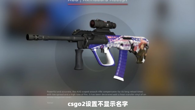 csgo2设置不显示名字