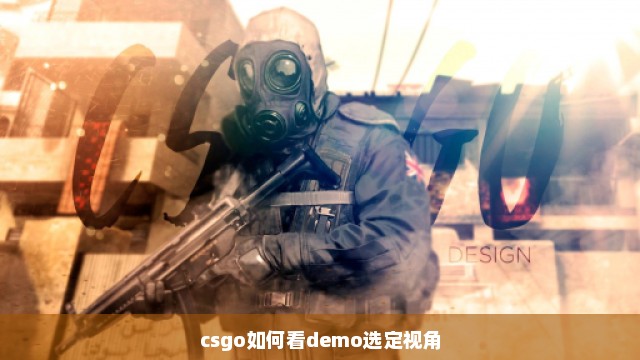 csgo如何看demo选定视角