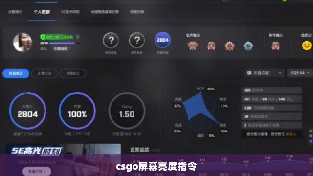 csgo屏幕亮度指令