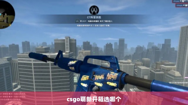 csgo萌新开箱选哪个