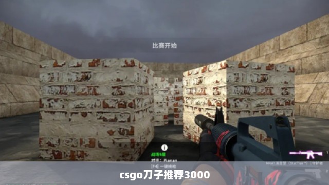 csgo刀子推荐3000