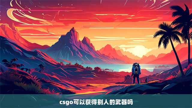 csgo可以获得别人的武器吗