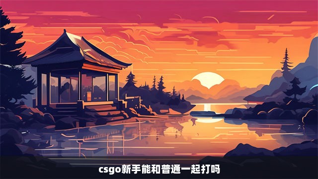 csgo新手能和普通一起打吗