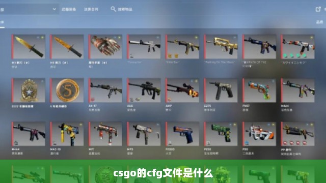 csgo的cfg文件是什么