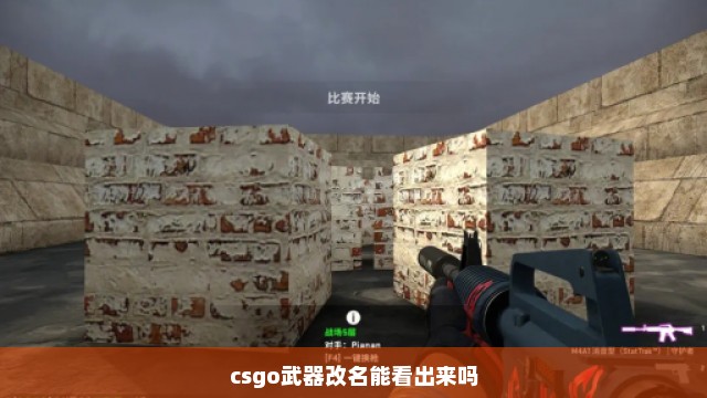 csgo武器改名能看出来吗