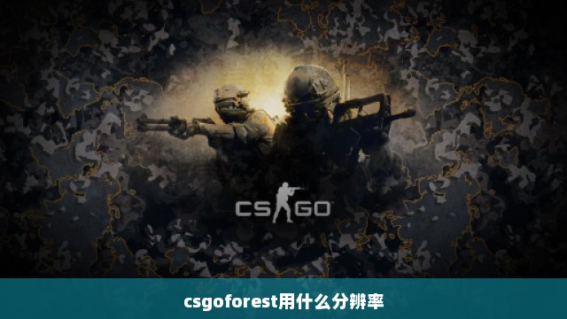 csgoforest用什么分辨率