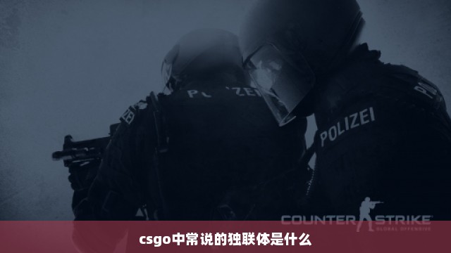 csgo中常说的独联体是什么