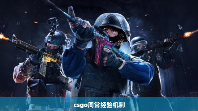 csgo周常经验机制