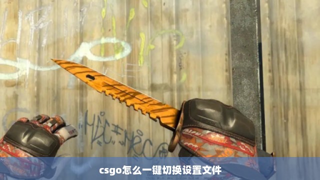 csgo怎么一键切换设置文件