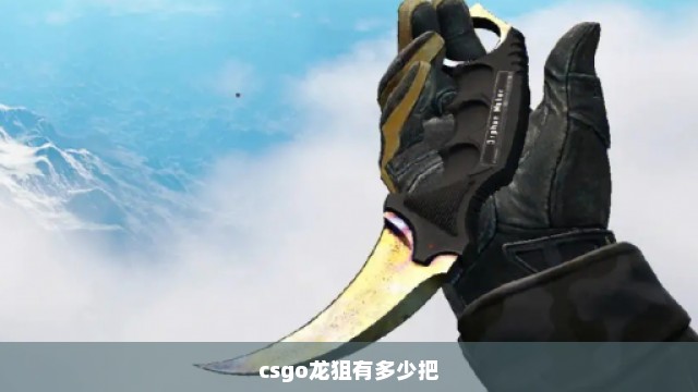 csgo龙狙有多少把