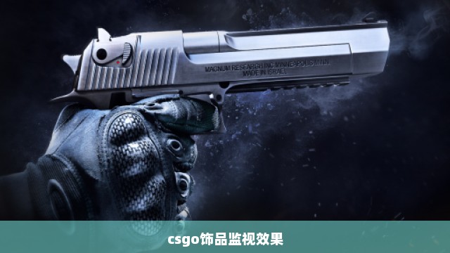 csgo饰品监视效果