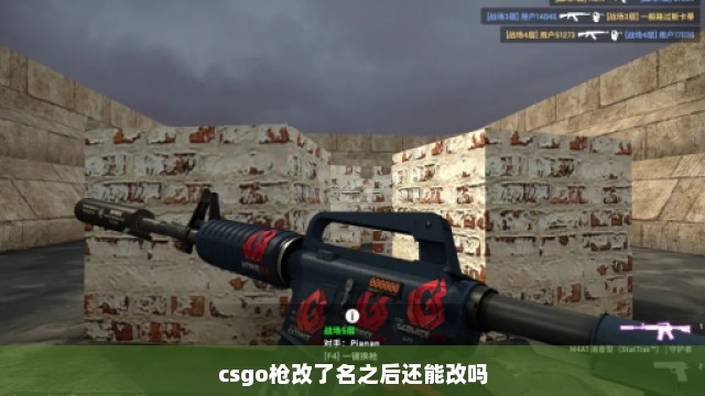 csgo枪改了名之后还能改吗