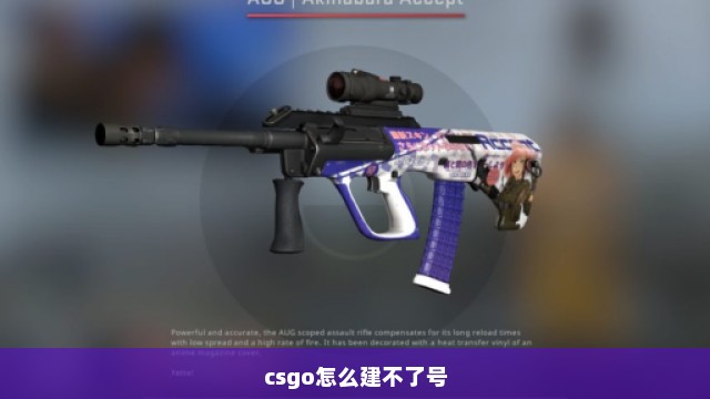 csgo怎么建不了号