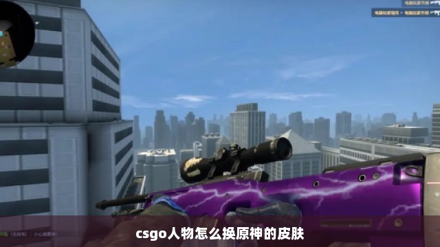 csgo人物怎么换原神的皮肤