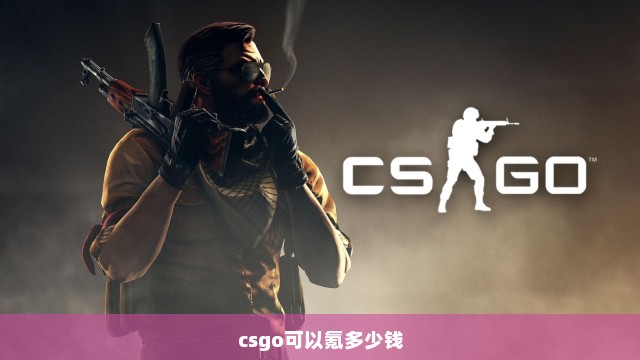 csgo可以氪多少钱