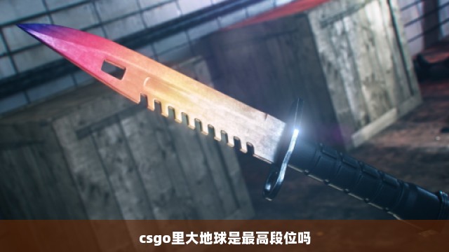 csgo里大地球是最高段位吗