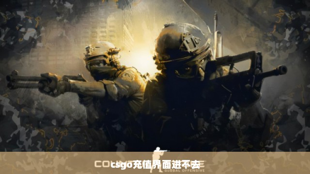 csgo充值界面进不去