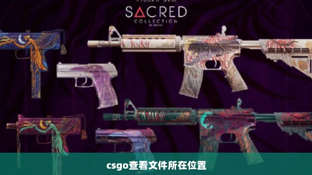 csgo查看文件所在位置