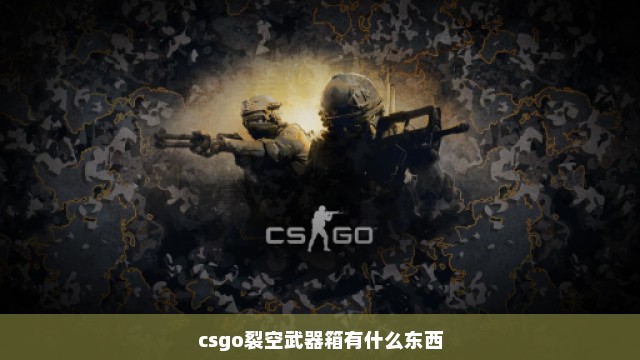 csgo裂空武器箱有什么东西