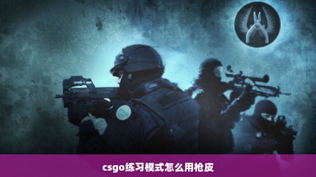 csgo练习模式怎么用枪皮