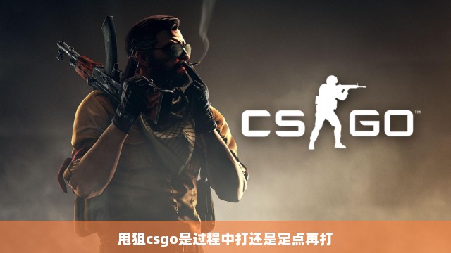 甩狙csgo是过程中打还是定点再打