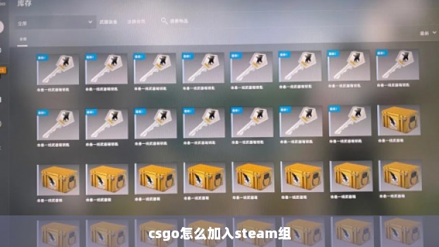 csgo怎么加入steam组