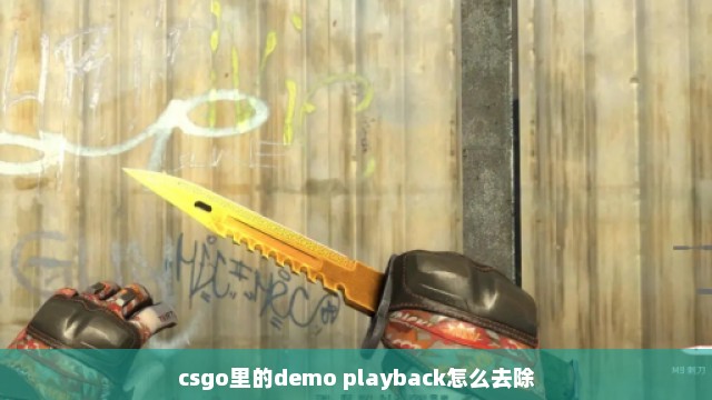 csgo里的demo playback怎么去除