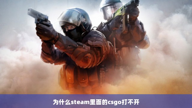 为什么steam里面的csgo打不开