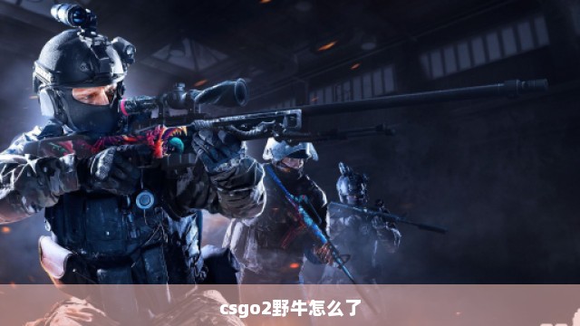 csgo2野牛怎么了