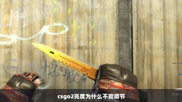 csgo2亮度为什么不能调节