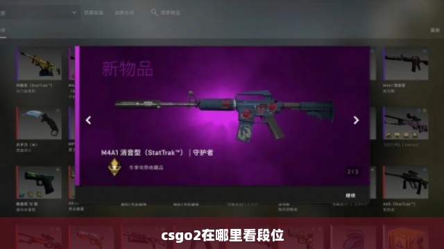 csgo2在哪里看段位