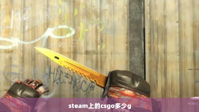 steam上的csgo多少g