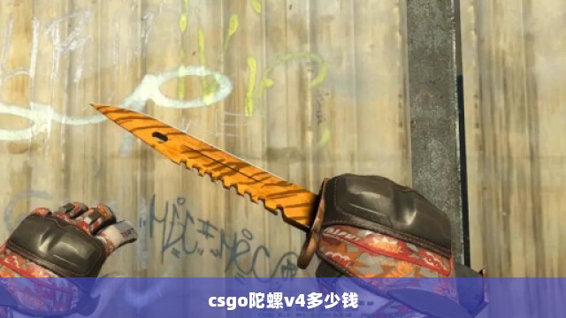 csgo陀螺v4多少钱