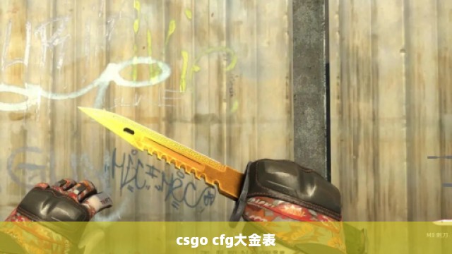 csgo cfg大金表