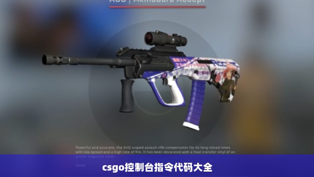 csgo控制台指令代码大全