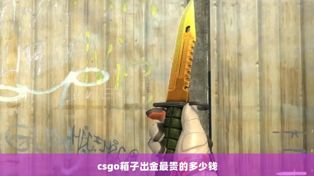 csgo箱子出金最贵的多少钱