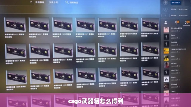 csgo武器箱怎么得到