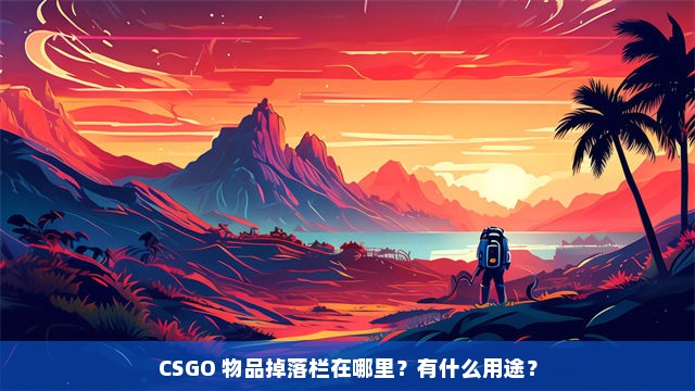 CSGO 物品掉落栏在哪里？有什么用途？