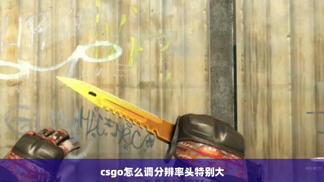 csgo怎么调分辨率头特别大