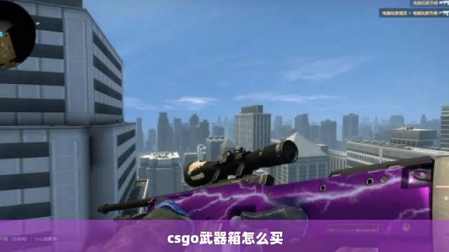 csgo武器箱怎么买