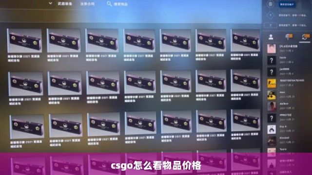 csgo怎么看物品价格