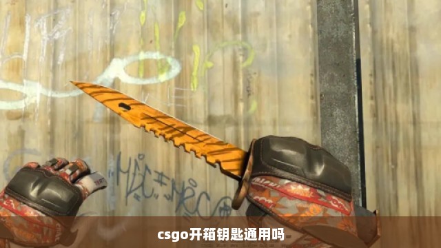 csgo开箱钥匙通用吗