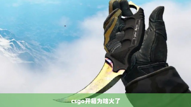 csgo开箱为啥火了