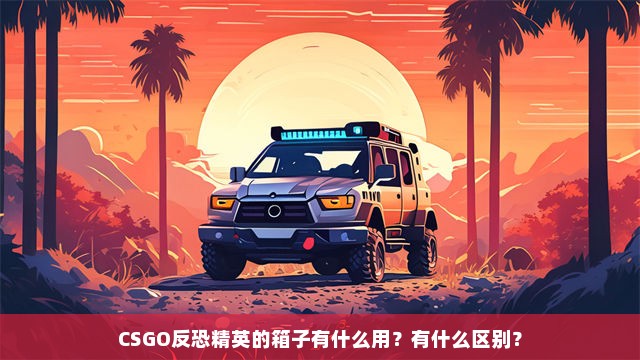 CSGO反恐精英的箱子有什么用？有什么区别？