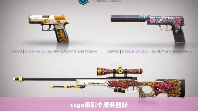 csgo用哪个服务器好