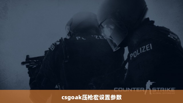 csgoak压枪宏设置参数