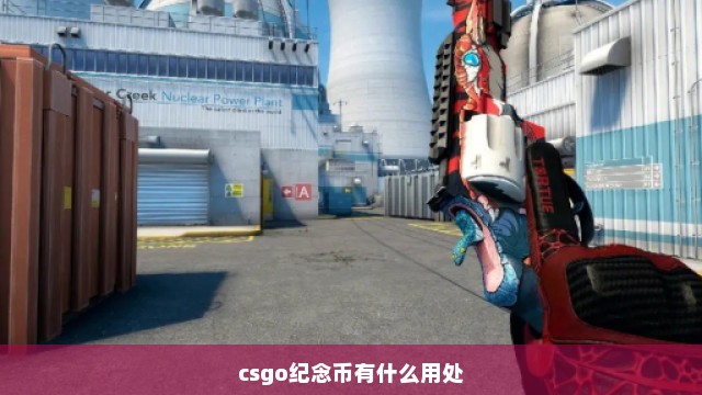 csgo纪念币有什么用处