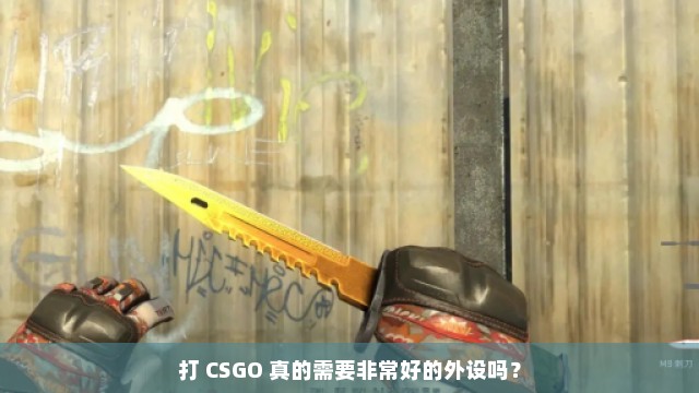 打 CSGO 真的需要非常好的外设吗？