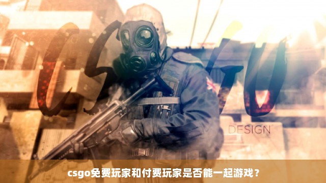 csgo免费玩家和付费玩家是否能一起游戏？